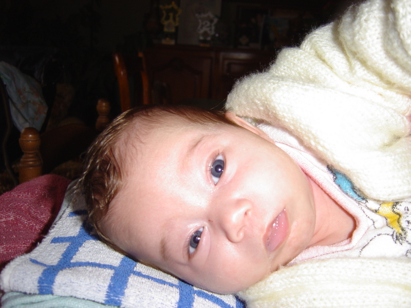 2004-11-19-dsc00866.jpg